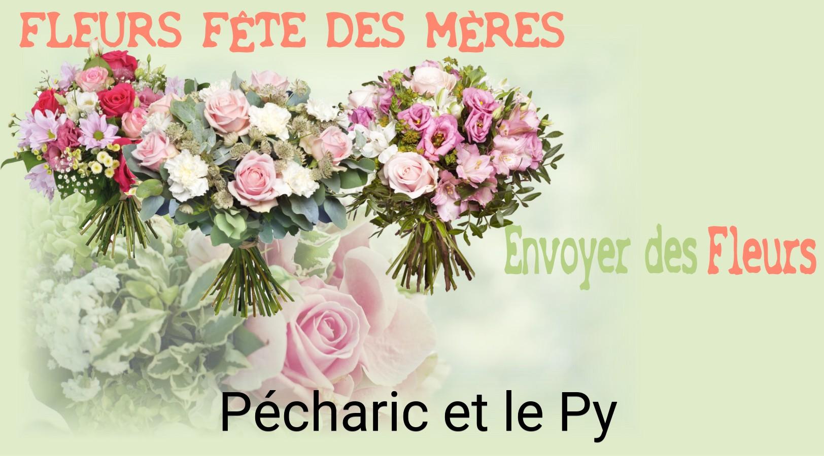 Bouquet de Fête des Mères livré à Pécharic-et-le-Py